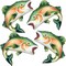 Rainbow Trout Fish Balloons – 4 PCS 27 Inch Fishing Foil Balloons for “O-Fish-ally One” Birthday, Fishing Themed Parties, Baby Showers, and Father’s Day (Green 4pcs)